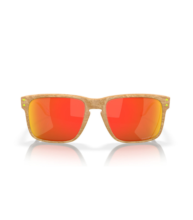 Oakley Holbrook OO9102