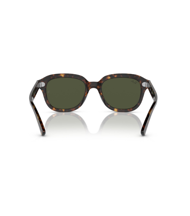 Ray-Ban Erik RB4398
