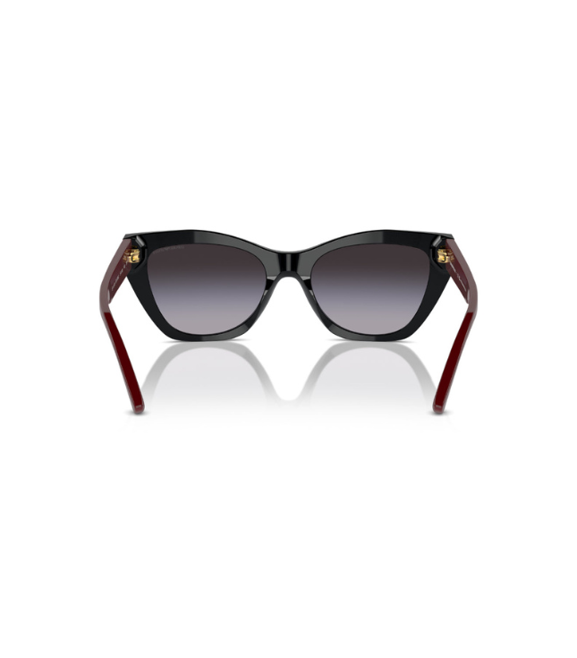 Eyeglasses
