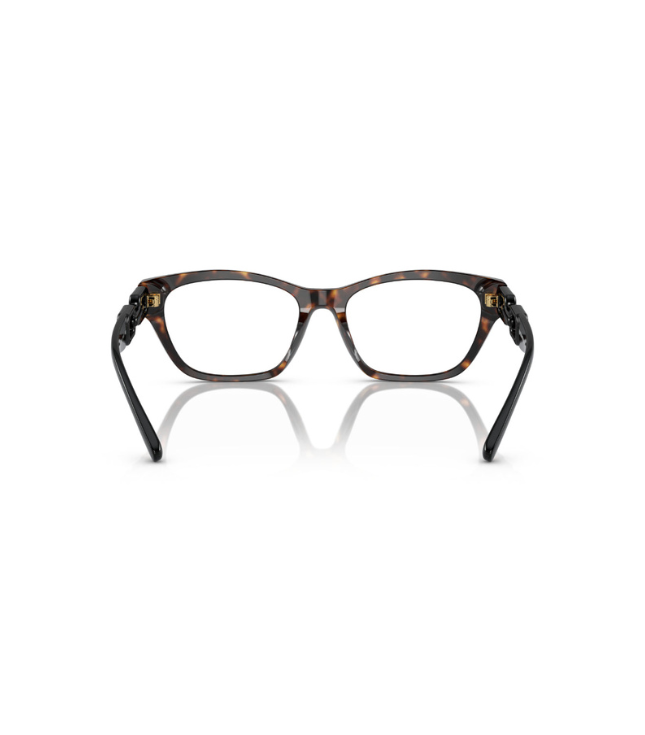 Eyeglasses