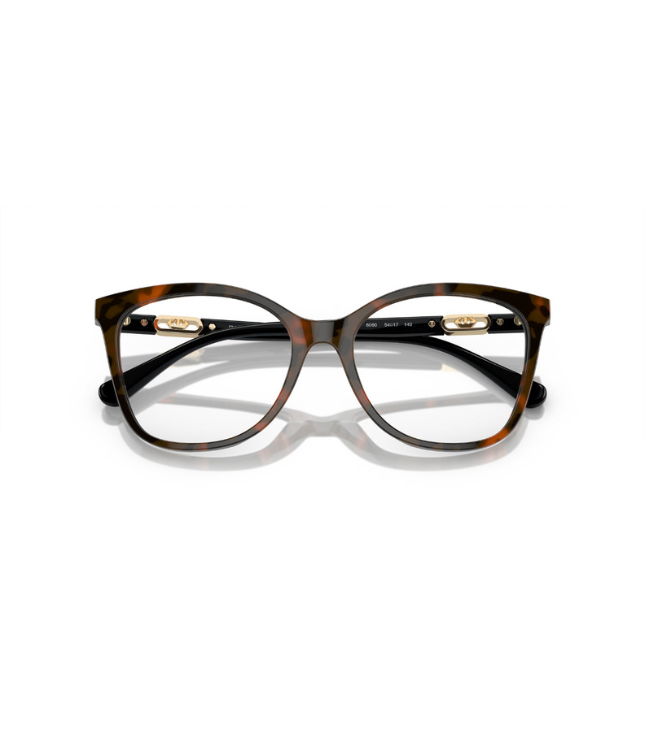 Eyeglasses