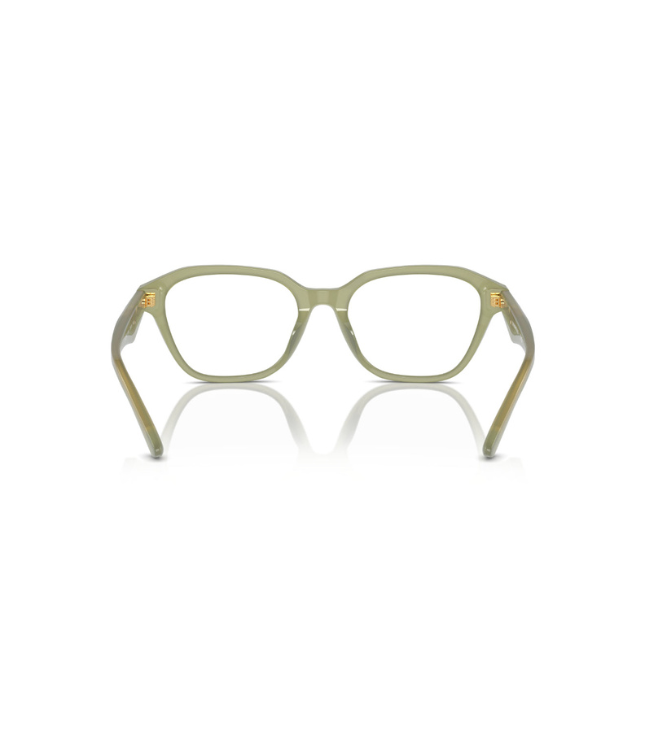 Eyeglasses
