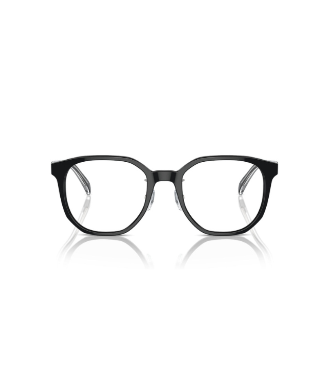 Eyeglasses