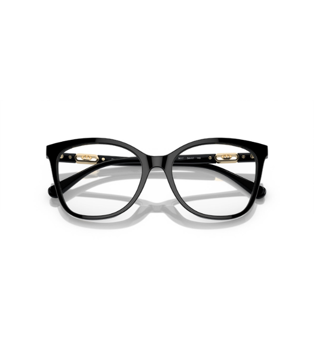 Eyeglasses