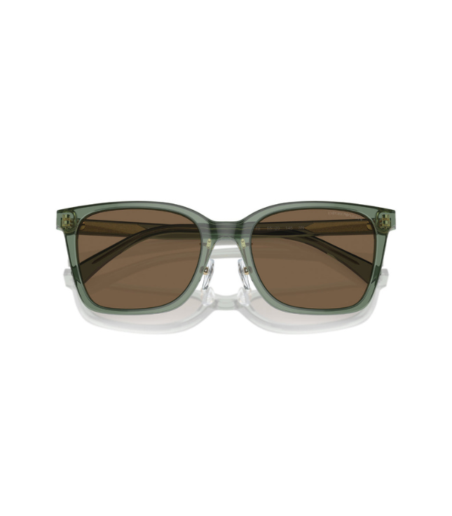 Eyeglasses